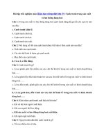 Tải Bài tập trắc nghiệm môn Giáo dục công dân lớp 11: Cạnh tranh trong sản xuất và lưu thông hàng hoá - Câu hỏi trắc nghiệm GDCD lớp 11 có đáp án