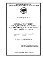 (Luận văn thạc sĩ) giải pháp phát triển tín dụng đầu tư nhà nước tại sở giao dịch II   ngân hàng phát triển việt nam 