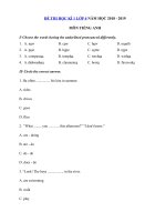 Tải Đề thi học kì 1 môn Tiếng Anh lớp 6 năm học 2018 - 2019 số 3 - Đề kiểm tra học kì 1 lớp 6 môn Tiếng Anh có đáp án