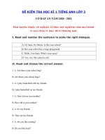 Tải Đề thi tiếng Anh lớp 3 học kì 1 năm 2020 - 2021 - Đề thi học kì 1 lớp 3 môn tiếng Anh có đáp án