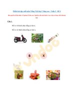 Tải Phiếu bài tập cuối tuần Tiếng Việt lớp 1 Nâng cao Tuần 5 Đề 4 - Đề kiểm tra Tiếng Việt cuối tuần lớp 1 Sách Cánh Diều