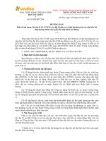 BTCTW 2019 - HoaTieu.vn