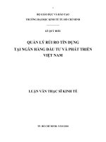 (Luận văn thạc sĩ) quản trị rủi ro tín dụng tại ngân hàng đầu tư và phát triển việt nam 