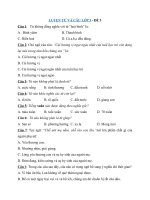 Tải Đề ôn tập Luyện từ và câu lớp 5 - Đề 3 - Câu hỏi trắc nghiệm môn Tiếng Việt 5