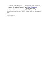 Tải Đề thi giữa học kì 1 lớp 10 môn Ngữ văn Trường THPT Trương Định năm 2020 - 2021 - Đề kiểm tra giữa học kì 1 lớp 10 môn Văn