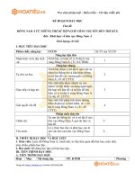 Tải Mẫu giáo án minh họa môn Lịch sử mô đun 2 THCS - HoaTieu.vn