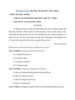 Tải Đề thi học kì 2 lớp 1 môn Tiếng Việt năm 2019 - 2020 có đáp án - Đề thi Tiếng Việt lớp 1 học kỳ 2