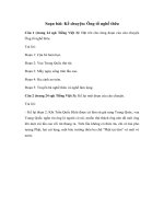 Tải Kể chuyện lớp 3: Ông tổ nghề thêu - Giải bài tập SGK Tiếng Việt 3 tập 2