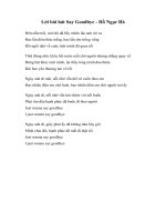 lời bài hát say goodbye  hồ ngọc hà