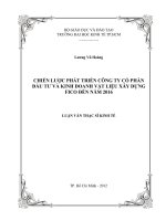 (Luận văn thạc sĩ) chiến lược phát triển công ty cổ phần đầu tư và kinh doanh vật liệu xây dựng fico đến năm 2016  
