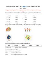 Tải Trắc nghiệm từ vựng Unit 8 lớp 4: What subjects do you have today? - Từ vựng tiếng Anh lớp 4 Unit 8