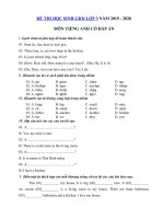 Tải Đề thi học sinh giỏi tiếng Anh lớp 3 năm 2019 - 2020 số 13 - Đề kiểm tra tiếng Anh lớp 3 có đáp án