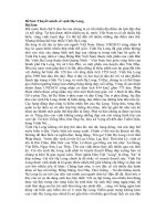 Tải Thuyết minh về vịnh Hạ Long - Dàn ý + Bài văn mẫu thuyết minh về vịnh Hạ Long đạt 9, 10