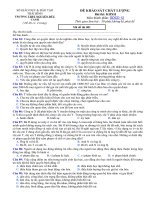 Tải Đề thi thử THPT Quốc gia môn GDCD năm 2020 lần 1 trường THPT Nguyễn Đức Cảnh, Thái Bình - Đề thi thử THPT Quốc gia môn GDCD