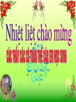 Đại số - Tiết 33: Phép chia các phân thức đại số