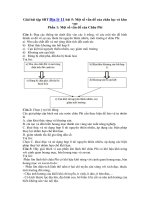 Tải Giải bài tập SBT Địa lý 11 bài 5: Một số vấn đề của châu lục và khu vực (phần 1) - Giải bài tập môn Địa lý lớp 11