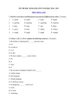 Tải Đề thi học sinh giỏi môn Tiếng Anh lớp 8 năm học 2018 - 2019 số 3 - Luyện thi HSG lớp 8 môn Tiếng Anh chương trình mới