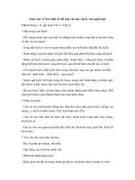 Tải Soạn văn 11 bài: Một số thể loại văn học: kịch, văn nghị luận - Soạn bài lớp 11