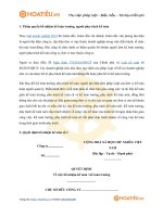 Tải Quyết định bổ nhiệm kế toán - HoaTieu.vn