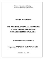 (Luận văn thạc sĩ) the data envelopment analysis model evaluating the efficiency of vietnamese commercial banks 