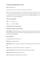 Tải Kịch bản hội thi An toàn giao thông - HoaTieu.vn