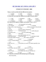 Tải Đề thi tiếng Anh lớp 9 học kì 2 năm 2019 - 2020 số 3 - Đề thi học kì 2 lớp 9 môn tiếng Anh mới có đáp án