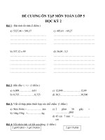Tải Đề cương ôn tập học kì 2 môn Toán lớp 5 - Bài tập ôn tập học kì 2 môn Toán lớp 5