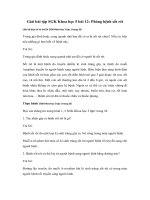 Tải Giải bài tập SGK Khoa học 5 bài 12: Phòng bệnh sốt rét - Giải bài tập môn Khoa học lớp 5