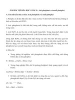 Tải Giải Hóa 11 bài 11: Axit photphoric và muối photphat - Giải bài tập hóa 11 bài 11
