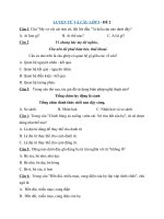 Tải Đề ôn tập Luyện từ và câu lớp 5 - Đề 2 - Câu hỏi trắc nghiệm môn Tiếng Việt 5