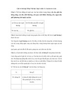 Tải Giải vở bài tập Tiếng Việt lớp 3 tập 1 tuần 11: Luyện từ và câu - Giải vở bài tập Tiếng Việt lớp 3 tuần 11