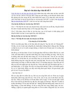 Tải Bài dự thi Đại sứ văn hóa đọc thủ đô 2020 đề 3 - HoaTieu.vn