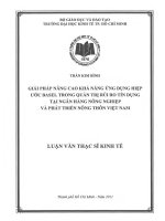 (Luận văn thạc sĩ) giải pháp nâng cao khả năng ứng dụng hiệp ước basel trong quản trị rủi ro tín dụng tại ngân hàng nông nghiệp và phát triển nông thôn việt nam 