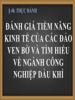 Bài 40: Thực hành: Đánh giá tiềm năng kinh tế của các đảo ven bờ và tìm hiểu về ngành công nghiệp dầu khí