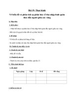 Tải Giáo án bài Vẽ biểu đồ và phân tích sự phân hóa về thu nhập bình quân theo đầu người giữa các vùng - Giáo án điện tử môn Địa lí lớp 12