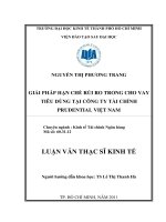 (Luận văn thạc sĩ) giải pháp hạn chế rủi ro trong cho vay tiêu dùng tại công ty tài chính prudential việt nam 