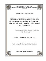 (Luận văn thạc sĩ) giải pháp kiểm soát rủi ro tín dụng tại chi nhánh ngân hàng đầu tư và phát triển thành phố hồ chí minh  