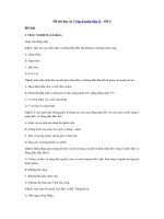 Tải Đề thi học kì 2 lớp 8 môn Địa lý - Đề 4 - Đề thi trắc nghiệm hk 2 môn Địa lý lớp 8 có đáp án