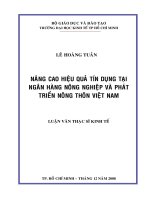 (Luận văn thạc sĩ) nâng cao hiệu quả tín dụng tại ngân hàng nông nghiệp và phát triển nông thôn việt nam 