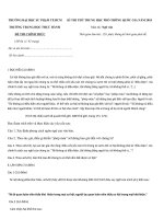 Tải Đề thi thử THPT quốc gia môn Ngữ văn năm 2018 Trường Trung học Thực hành - Đại học Sư Phạm TP.HCM - Đề thi thử THPT quốc gia môn Ngữ văn