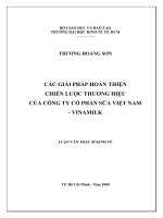 (Luận văn thạc sĩ) các giải pháp hoàn thiện chiến lược thương hiệu của công ty cổ phần sữa việt nam vinamilk 