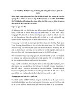 24 - Đường dây nóng thi vào lớp 10 Hà Nội năm 2019