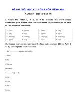 Tải Đề kiểm tra tiếng Anh lớp 6 học kì 2 năm 2019 - 2020 số 7 - Đề thi học kì 2 lớp 6 môn tiếng Anh có đáp án