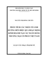 (Luận văn thạc sĩ) phân tích các nhân tố ảnh hưởng đến hiệu quả hoạt động kinh doanh tại ngân hàng thương mại cổ phần việt nam 