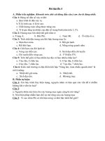 bài tập lần 4a phần trắc nghiệm