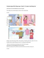 Tải Giải bài tập SGK Khoa học 5 bài 8: Vệ sinh ở tuổi dậy thì - Giải bài tập môn Khoa học lớp 5 tập 1