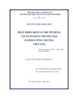 (Luận văn thạc sĩ) phát triển dịch vụ thẻ tín dụng tại ngân hàng thương mại cổ phần công thương việt nam 