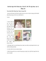 Tải Giải bài tập SGK Khoa học 4 bài 67, 68: Ôn tập thực vật và động vật - Giải bài tập môn Khoa học lớp 4 tập 2