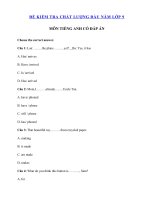 Tải Đề khảo sát chất lượng đầu năm môn Tiếng Anh lớp 9 số 4 - Đề thi khảo sát chất lượng đầu năm lớp 9 môn tiếng Anh