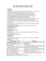 Tải Giáo án môn Sinh học lớp 12 bài 7 - Thực hành quan sát các dạng đột biến số lượng nhiễm sắc thể